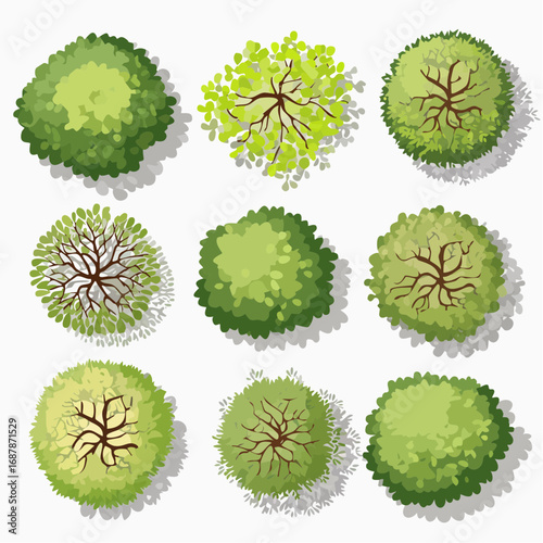 Collection of Aerial Tree Perspectives for Landscape Design and Architectural Planning