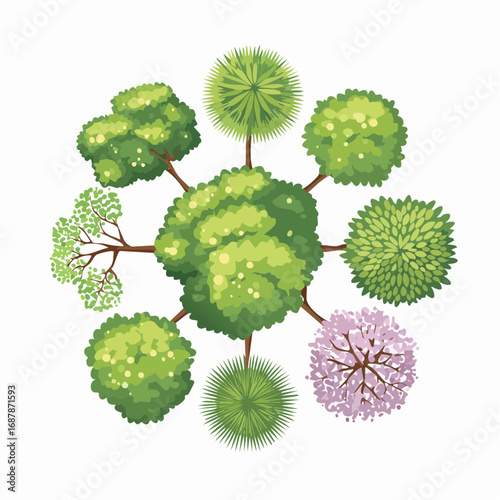 collection of aerial views of trees for landscape design and architectural planning