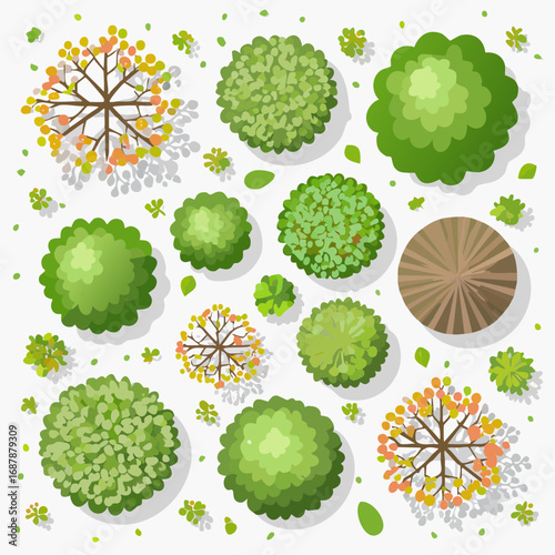Vector set of Top view green tree for outdoor plan or map and architecture drawing, elements for environment and garden ,botanical elements