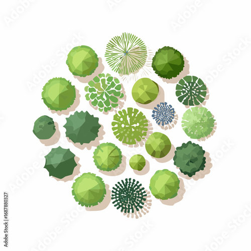 Set of trees top view for landscape and architecture elements