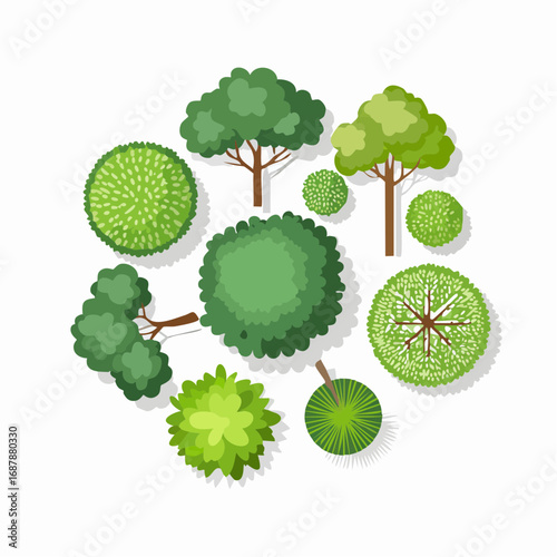Set of trees top view for landscape and architecture elements
