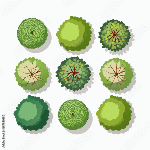 Set of trees top view for landscape and architecture elements