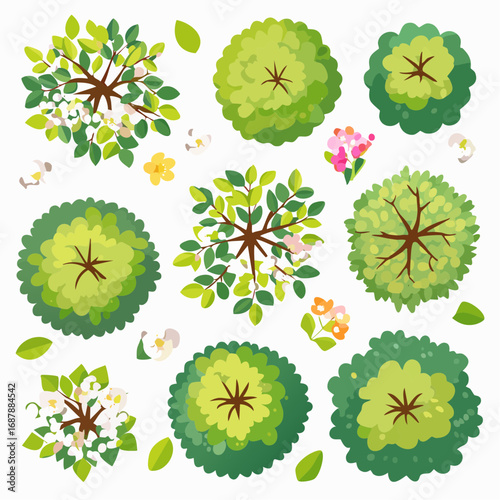 Vector set of Top view green tree for outdoor plan or map and architecture drawing, elements for environment and garden ,botanical elements