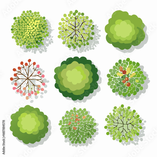 Vector set of Top view green tree for outdoor plan or map and architecture drawing, elements for environment and garden ,botanical elements