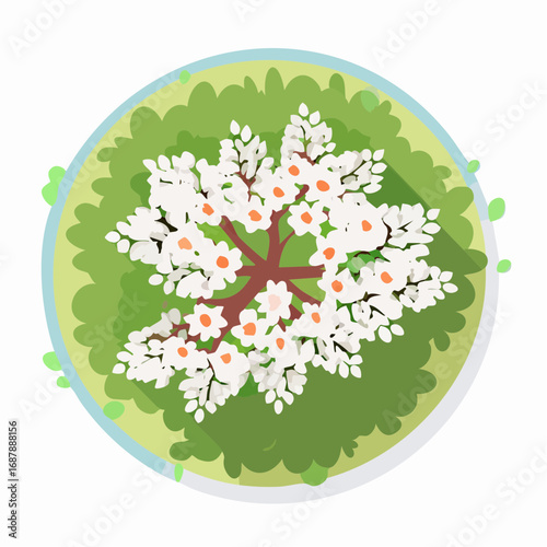 Vector blooming flower tree top view isolated on white background for landscape plan and architecture drawing, elements for environment and garden,botanical .