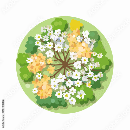Vector blooming flower tree top view isolated on white background for landscape plan and architecture drawing, elements for environment and garden,botanical .