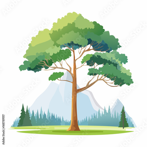 Vector watercolor of pine tree side view isolated on white background for landscape and architecture drawing, elements for environment and garden, painting botanical for section and .