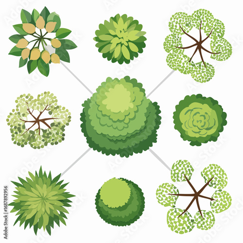 Vector set of Top view green tree for outdoor plan or map and architecture drawing, elements for environment and garden ,botanical elements