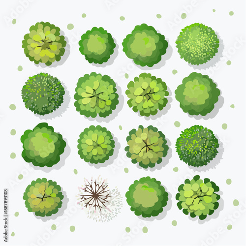 Vector set of Top view green tree for outdoor plan or map and architecture drawing, elements for environment and garden ,botanical elements