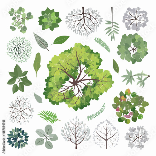 Top-Down View Vector Collection of Trees for Landscape Planning and Architectural Designs, Botanical Elements for Gardens, Tropical Plants, Freehand Sketch Style, Spring Bloom