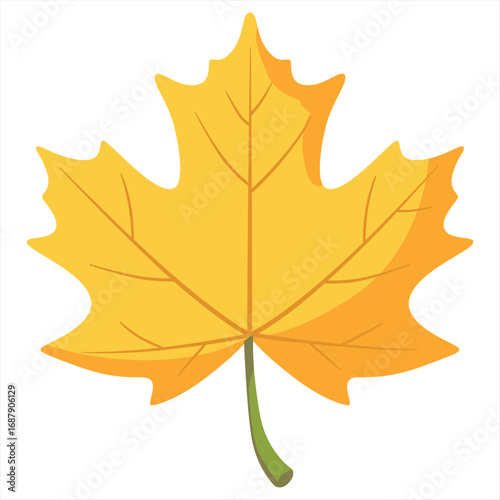 maple leaf 2