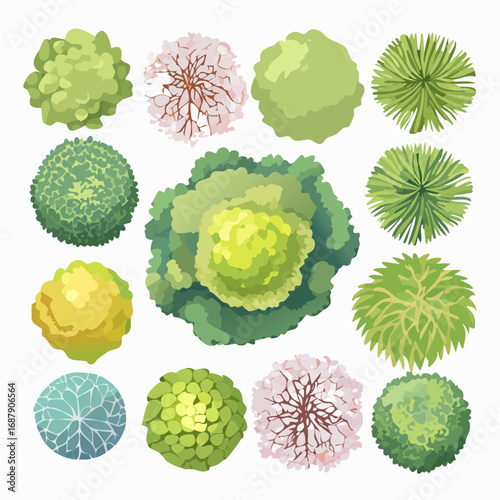 Collection of Aerial Tree Views in Watercolor, Isolated on White Background for Landscape Planning and Architectural Design