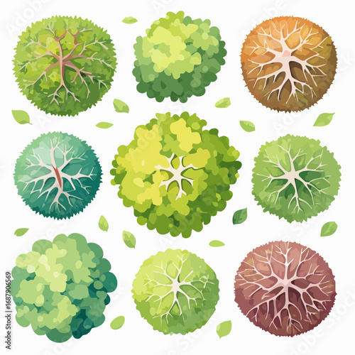 Collection of Aerial Tree Illustrations in Watercolor, Isolated on White Background, Ideal for Landscape Planning and Architectural Design.