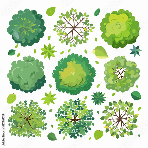 Vector set of Top view green tree for outdoor plan or map and architecture drawing, elements for environment and garden ,botanical elements