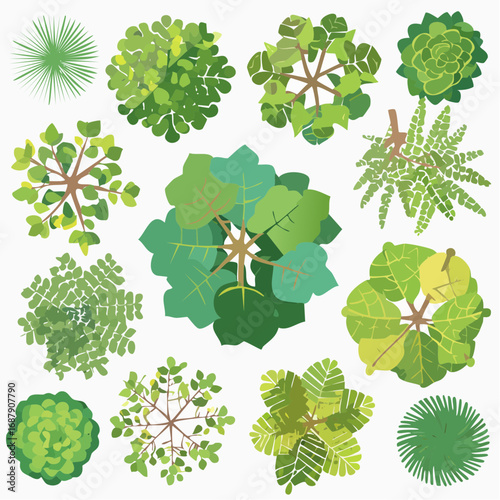 Vector set of Top view green tree for outdoor plan or map and architecture drawing, elements for environment and garden ,botanical elements