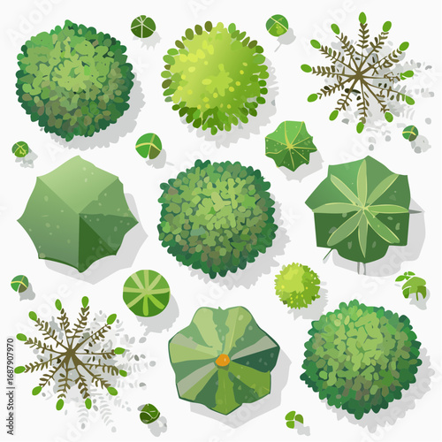 Vector set of Top view green tree for outdoor plan or map and architecture drawing, elements for environment and garden ,botanical elements