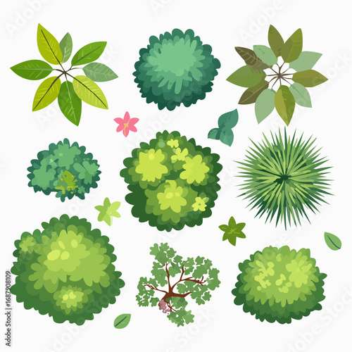 Vector set of Top view green tree for outdoor plan or map and architecture drawing, elements for environment and garden ,botanical elements