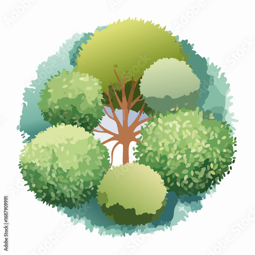 Vector watercolor tree or forest top view isolated on white background for landscape and architecture drawing,elements for environment and garden,botanical for section in spri