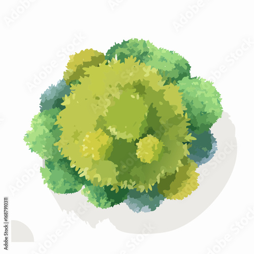 Vector watercolor tree or forest top view isolated on white background for landscape and architecture drawing,elements for environment and garden,botanical for section in spri