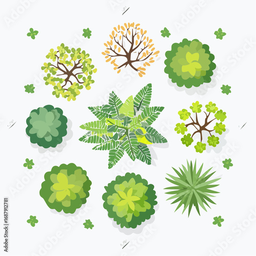 Vector set of Top view green tree for outdoor plan or map and architecture drawing, elements for environment and garden ,botanical elements
