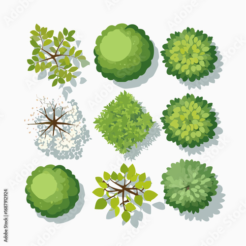 Vector set of Top view green tree for outdoor plan or map and architecture drawing, elements for environment and garden ,botanical elements