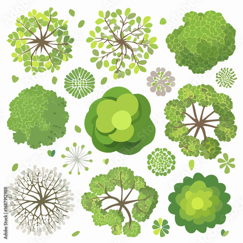 Vector set of Top view green tree for outdoor plan or map and architecture drawing, elements for environment and garden ,botanical elements