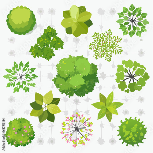 Vector set of Top view green tree for outdoor plan or map and architecture drawing, elements for environment and garden ,botanical elements