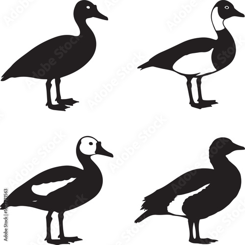 Black and white goose silhouettes bird
