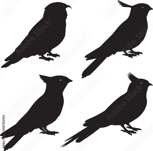 Black bird silhouettes perched white background