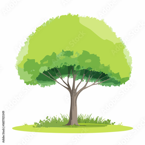 Vector watercolor of green tree side view isolated on white background for landscape and architecture drawing, elements for environment and garden, painting botanical for section and .