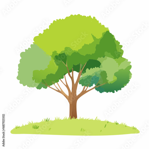 Vector watercolor of green tree side view isolated on white background for landscape and architecture drawing, elements for environment and garden, painting botanical for section and .