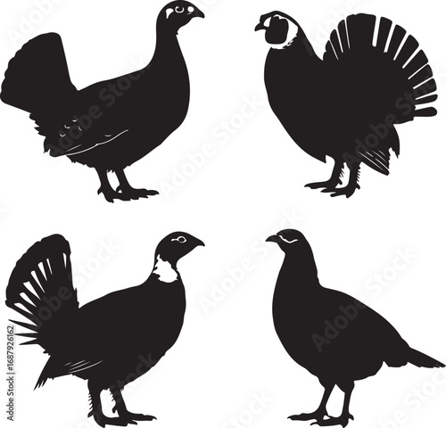 Black silhouettes of four birds white background fowl