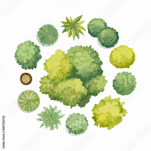 Set of watercolor tree top view isolated for landscape plan and architecture layout,plant for gardening