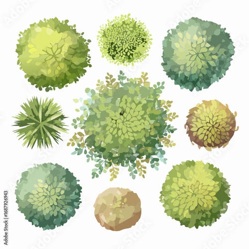 Set of watercolor tree top view isolated for landscape plan and architecture layout,plant for gardening