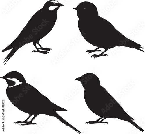 Four black bird silhouettes birds white background