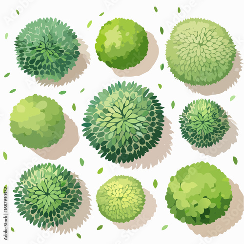 set of watercolor green trees top view for landscape plan and architecture layout or gardening