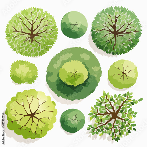 set of watercolor green trees top view for landscape plan and architecture layout or gardening