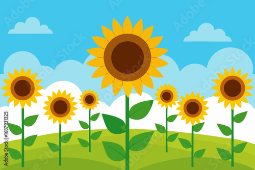 sunflower on the field