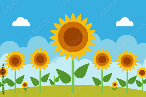 sunflowers
