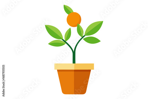 flower in a pot