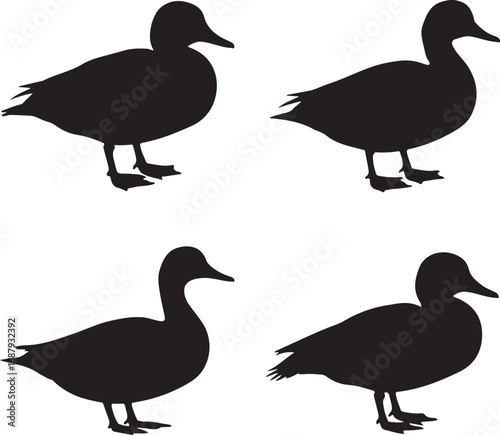 Four black duck silhouettes bird waterfowl