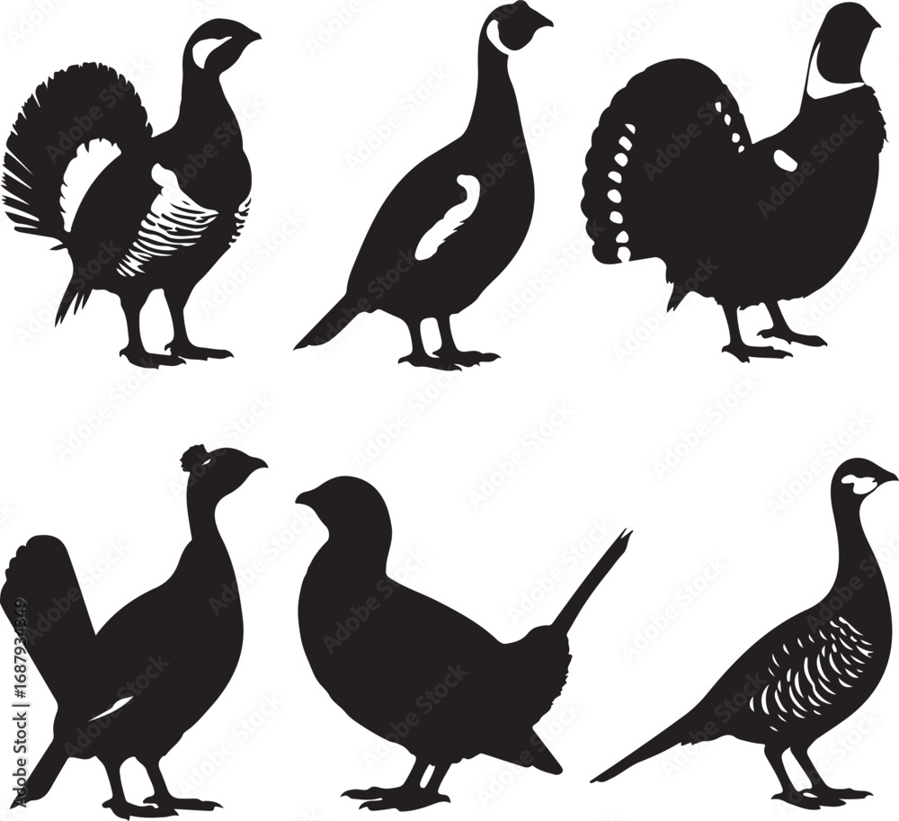 Obraz premium Six black bird silhouettes on white grouse