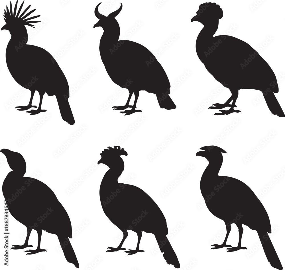 Fototapeta premium Six black bird silhouettes with crests and horns vector