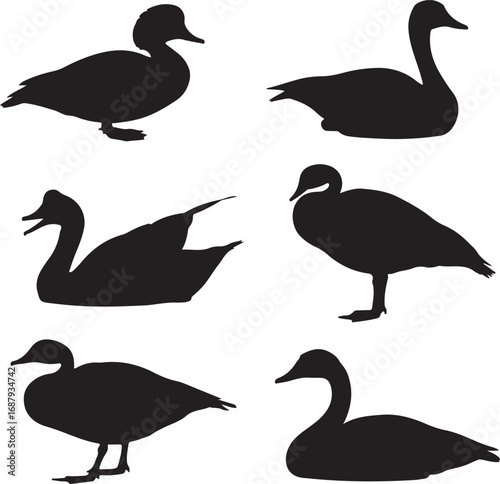Six black duck silhouettes in various poses goose white background