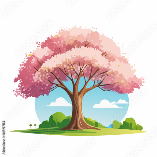 Vector watercolor blooming flower tree or cherry blossom side view isolated on white background for landscape and architecture drawing,elements for environment and garden,Sakura tree for secti