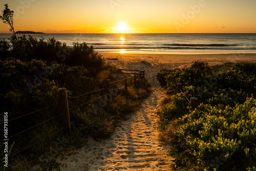 A sandy path leads through coastal vegetation to Zenith Beach at sunrise in Port Stephens, New South Wales, Australia. The golden light reflects across the ocean horizon.