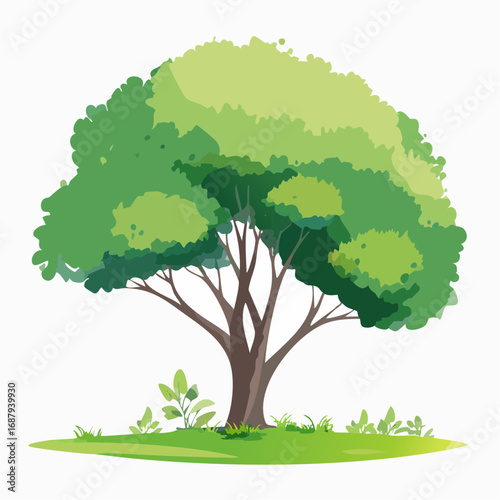Vector watercolor green tree or fren side view isolated on white background for landscape and architecture drawing,elements for environment or and garden,Shrub for .