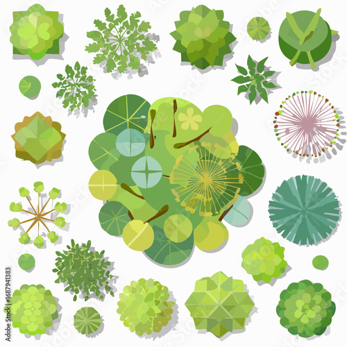Vector set of Top view green tree for outdoor plan or map and architecture drawing, elements for environment and garden ,botanical elements