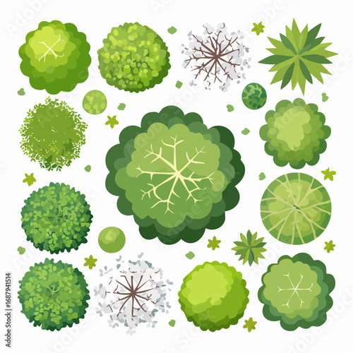 Vector set of Top view green tree for outdoor plan or map and architecture drawing, elements for environment and garden ,botanical elements