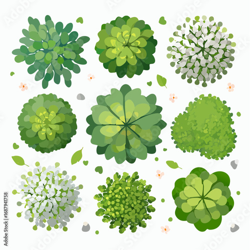 Vector set of Top view green tree for outdoor plan or map and architecture drawing, elements for environment and garden ,botanical elements